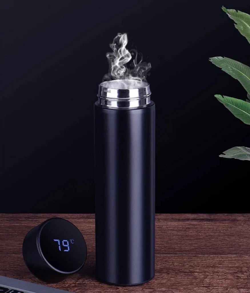 LED Stainless Steel Hot and Cold Bottle