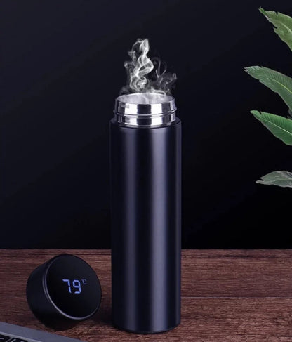 LED Stainless Steel Hot and Cold Bottle